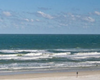 pet friendly hotels in st augustine, dogs allowed hotels in saint augustine florida
